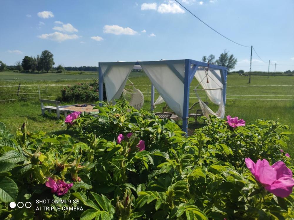 Folwark Malinowy Chrusniak Villa Bisztynek Bagian luar foto