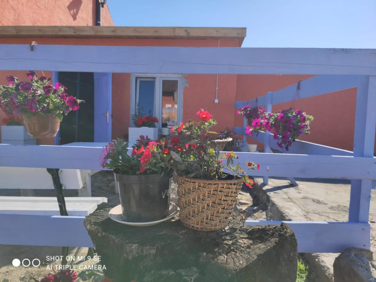 Folwark Malinowy Chrusniak Villa Bisztynek Bagian luar foto