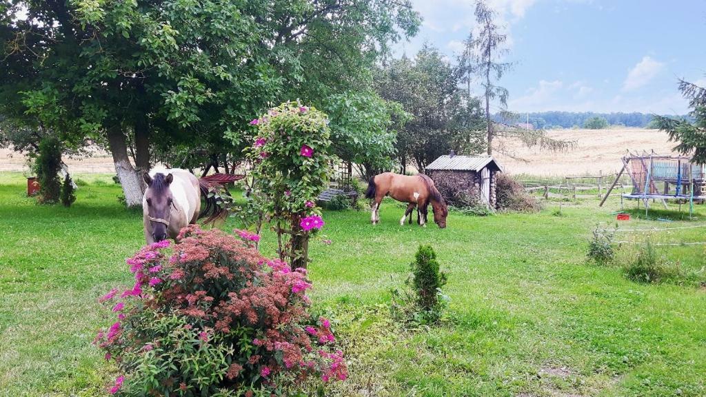 Folwark Malinowy Chrusniak Villa Bisztynek Bagian luar foto