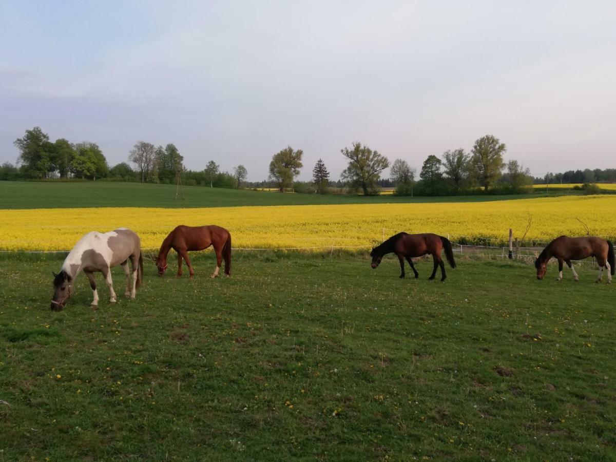 Folwark Malinowy Chrusniak Villa Bisztynek Bagian luar foto