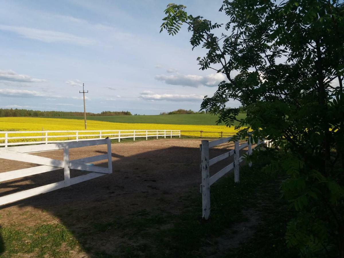 Folwark Malinowy Chrusniak Villa Bisztynek Bagian luar foto